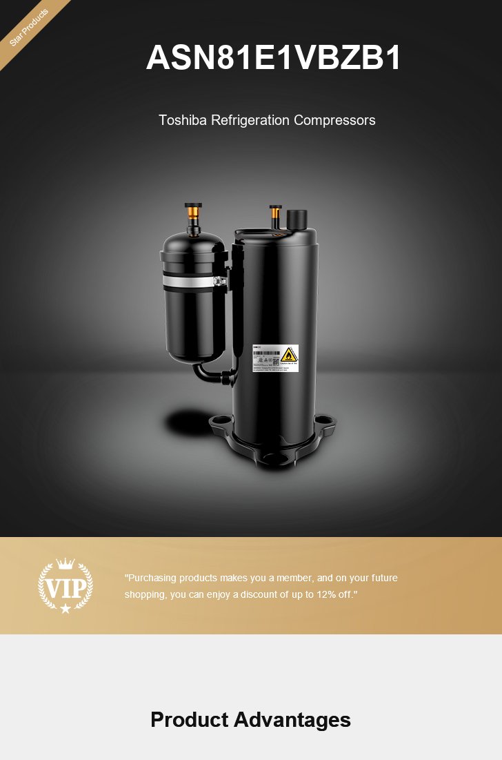 Toshiba Compressor ASN81E1VBZB1, technical parameters pdf, structure diagram